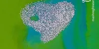 فلامینگوها برای نجات از حمله عقاب چه می کنند؟+ عکس