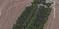 تصاویری از باغ شاهزاده ماهان کرمان، تکه ای از بهشت در دل کویر