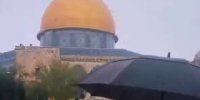 تصاویری از یک روز بارانی در مسجد الاقصی