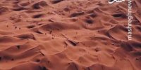 شگفت انگیز مثل لوت+ فیلم
