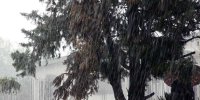 سازمان هواشناسی هشدار داد/ بارش و آبگرفتگی در این ۲۲ استان