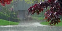 وقوع رگبار باران در این استان‌ها