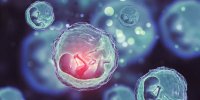 ببینید| چه کسانی گزینه مناسب برای اهدای تخمک هستند؟