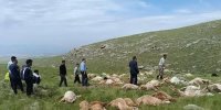 کاری که رعد و برق با ۷۹ گوسفند کرد/ آخرین وضعیت سلامتی این دو چوپان