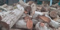 شگرد جدید قاچاق‌چیان چوب؛ حمل با خودروهای شاسی‌بلند!/ عکس