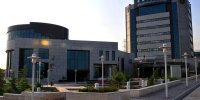 این دختر سفیر محیط‌ زیست شد/ عکس