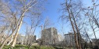 باغ ۲۰۰ ساله در معرض نابودی/ شهردار منطقه یک: به ما گفتند باغ معارض دارد