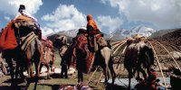 قبولی ۱۱ دانش‌آموز عشایر گلستانی در رشته پزشکی