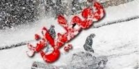 ادارات و مدارس این استان‌ها فردا (۲۳ بهمن) تعطیل شد/ اسامی در حال تکمیل شدن است