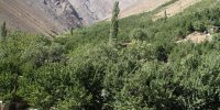 به تماشای رقص آبشار و شکوفه‌های گیلاس بنشینید!