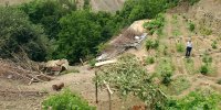 گشت وگذار در روستاهای غرب پایتخت | چنار هزار ساله ببینید و  والک پلو نوش جان کنید