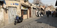 پیرترین موجود زنده تهران اینجاست!