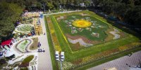 روی گل‌های این فرش پا نگذارید
