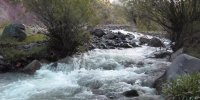 سرو غذای لذیذ کنار رودخانه