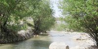 ماهیگیری از جاجرود تا نمرود