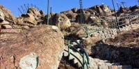 تماشای باغ وحش کوهستانی در شمال تهران