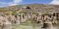 کوه رحمت را خوردند
