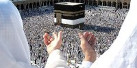 سقوط آزاد قیمت فیش عمره