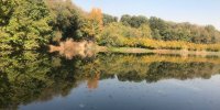 در تهران به کنار دریای خزر بروید