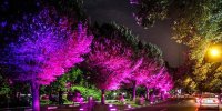 گذرهای مناسب پیاده روی  در شب‌های ماه رمضان