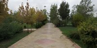 پارک جنگلی ساحل، بوستانی بکر در شرق پایتخت