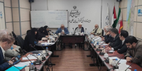 اساسنامه پیشنهادی بنیاد بین‌المللی خیرین بدون مرز بررسی شد