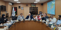 نشست هماهنگی برای استقبال از خانواده‌های شهدای فلسطینی طوفان الاقصی برگزار شد