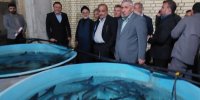 بازدید اعضای کمیسیون کشاورزی از مرکز پرورش ماهیان خاویاری گتوند
