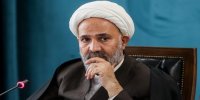 کمیسیون بر اساس وظایف قانونی خود می‌تواند در شعب دیوان عدالت طرح شکایت کند