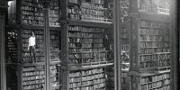 قطره در دریا | عکس هایی که ثابت می‌کنند ما بخش کوچکی از زندگی در زمین هستیم