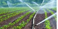 هوشمندسازی آبیاری زیرسطحی در برنامه هفتم توسعه مورد تاکید قرار گرفته است