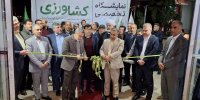 پانزدهمین نمایشگاه کشاورزی در قزوین افتتاح شد