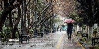 بارش باران و کاهش نسبی دما در نوار شمالی کشور