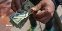 تعمیق بازار ارز تجاری با ورود گسترده پتروشیمی‌ها