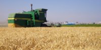 استفاده از راه حل‌های نوآورانه تنها راهکار تامین امنیت غذایی برای سال ۲۰۵۰ است