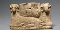 رازگشایی از ۱۱ هزار سال تاریخچه زیستی گوسفندها