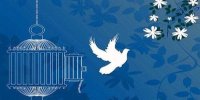 آزادی زن زندانی جرائم مالی از زندان با کمک خیر ایلامی