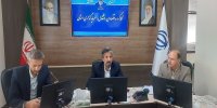 سند توسعه راهبردی زنجیره زرشک و گوهرسنگ خراسان جنوبی تدوین شد