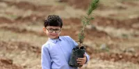 پویش «به نام پدر درخت می‌کاریم» در خراسان‌رضوی آغاز شد