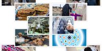افزایش ۵۴ درصدی وصول مطالبات بانک‌ها/پیگیری طرح اجرای بیمه طلاق
