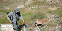 علت فوت محیط‌بان پارک ملی لار در دست بررسی است