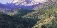خدمات اکوسیستمی «منطقه حفاظت شده قالیکوه» لرستان مورد پایش قرار می‌گیرد