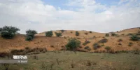 شفافیت و مشارکت برای کارآمدی ارزیابی محیط‌زیستی پروژه‌ها