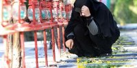مدیرکل بنیاد شهید فارس: تنها ۳۵ درصد از قوانین حمایت از جامعه شاهد وایثارگر محقق شده است