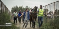 نتایج روز دوم هفته دوازدهم کورس اسبدوانی گنبدکاووس+ فیلم