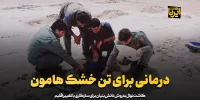 درمانی برای تن خشک هامون