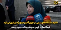 انصاری: تکالیف دستگاه‌های متولی در اجرای قانون هوای پاک پیگیری می‌شود