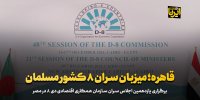 قاهره؛ میزبان سران ۸ کشور مسلمان