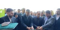 بهره‌برداری از نخستین کارخانه فرآوری خشکبار در رفسنجان