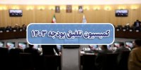 گزارش وزیر اقتصاد از رشد اقتصادی پیش بینی شده در لایحه بودجه ۱۴۰۴ به کمیسیون تلفیق